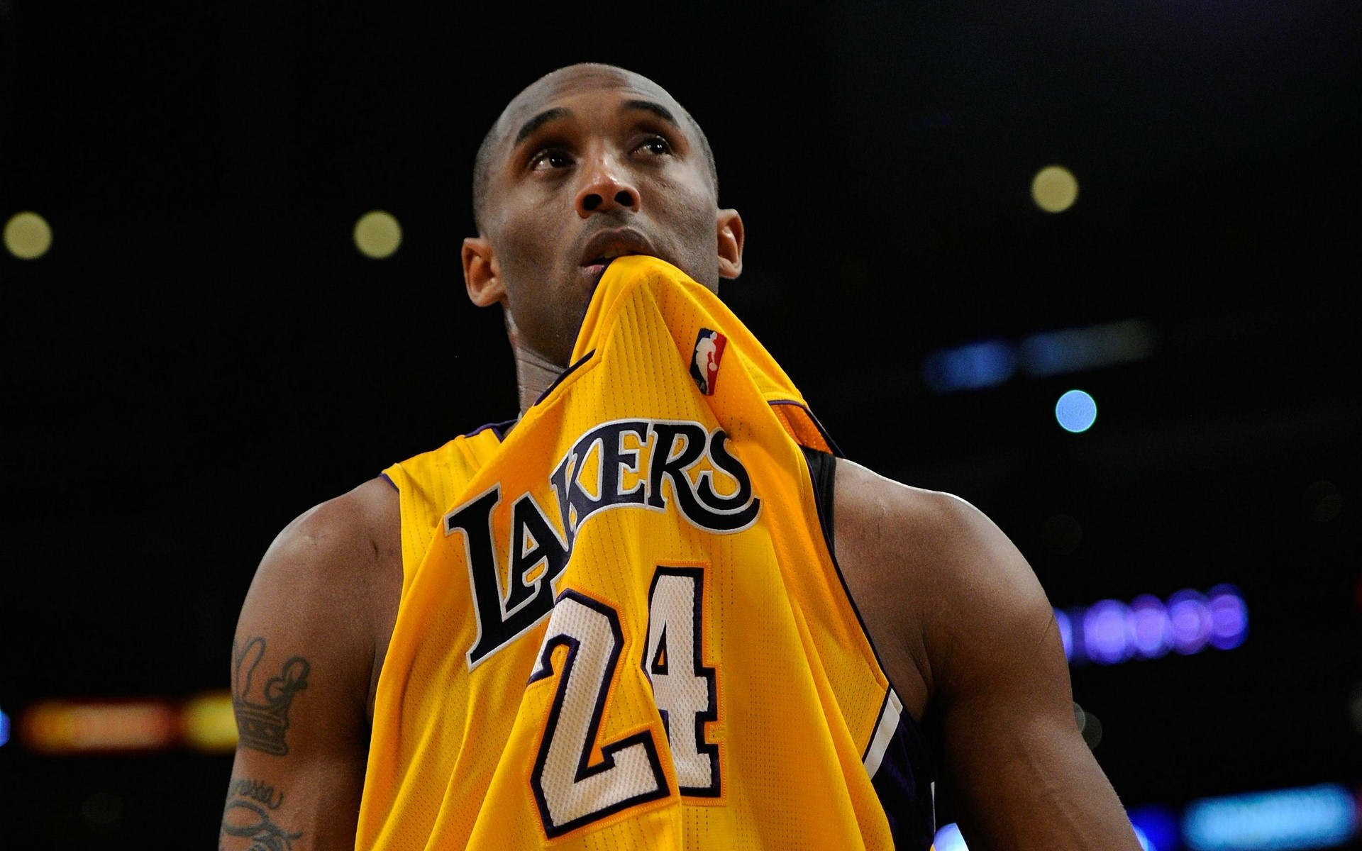 这对任何一 这对任何一