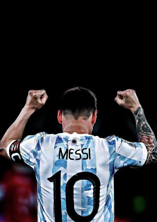 球组织者 球组织者