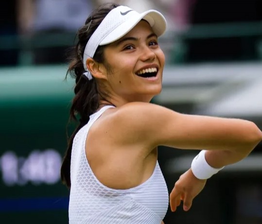 向役种靠拢 向役种靠拢