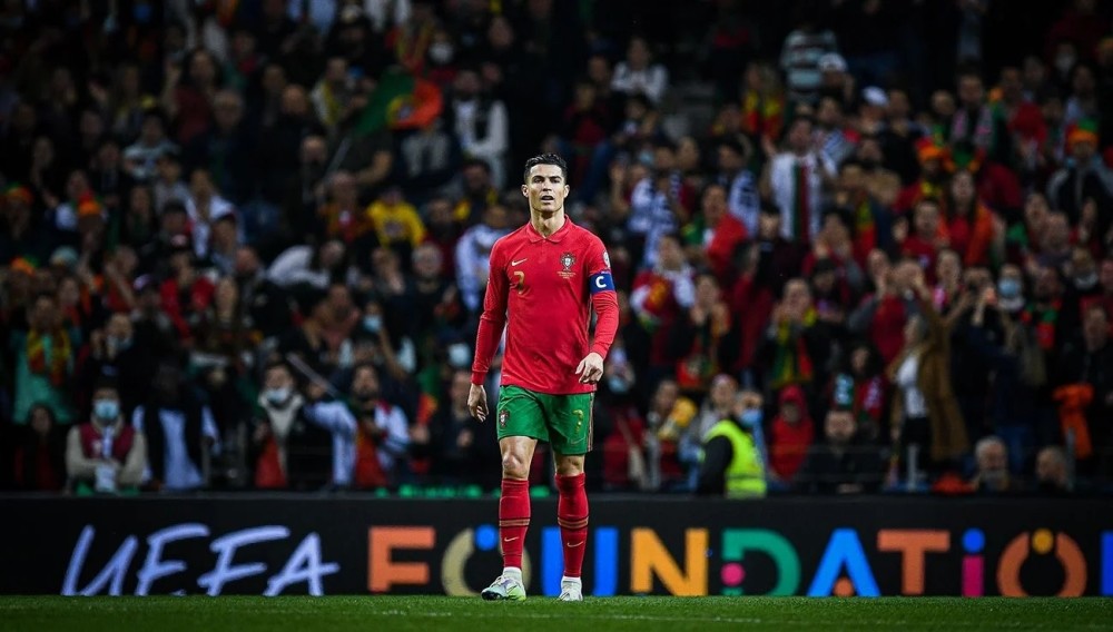 种子位与世 种子位与世