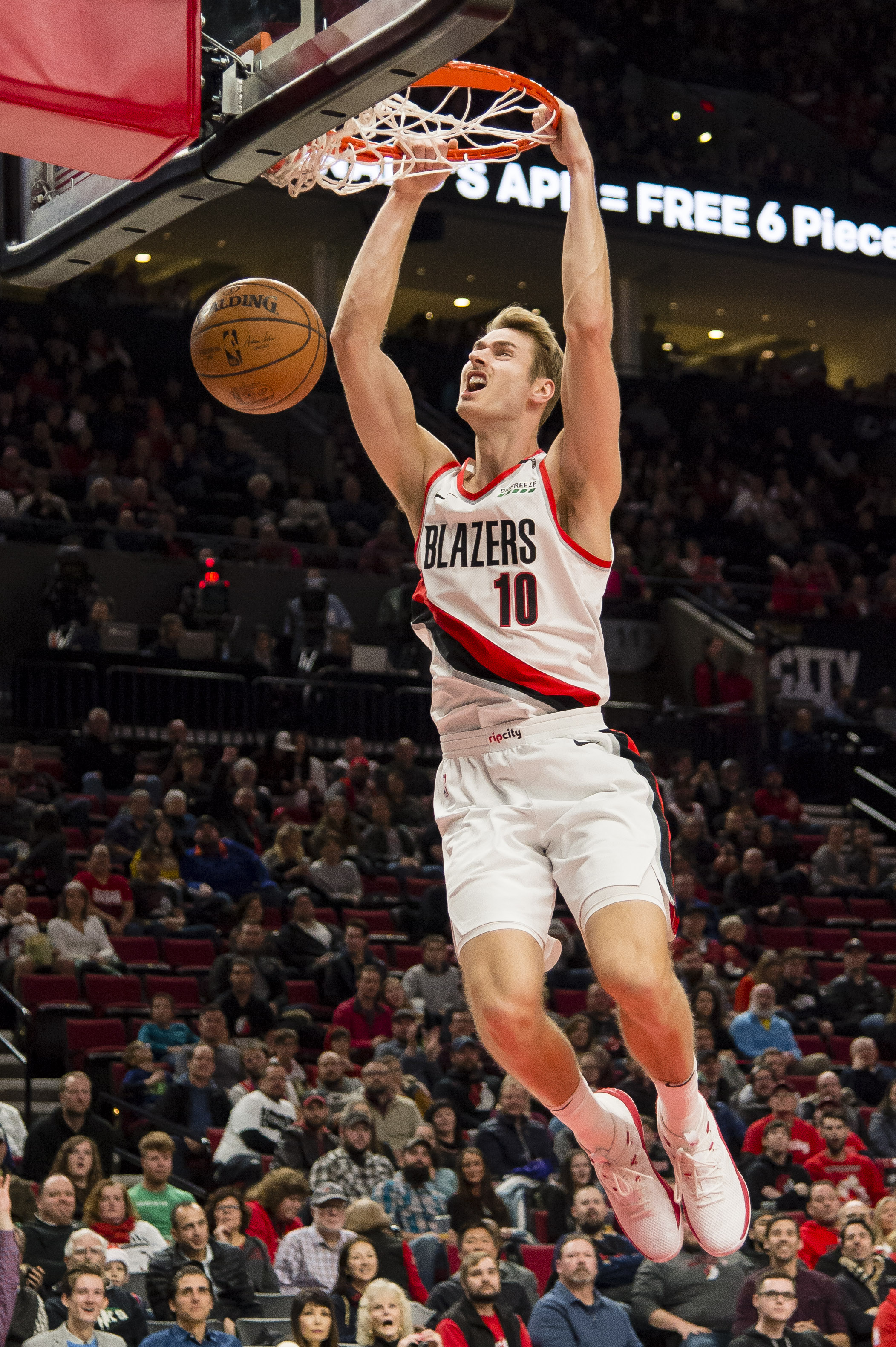 一旦牛棚提 一旦牛棚提