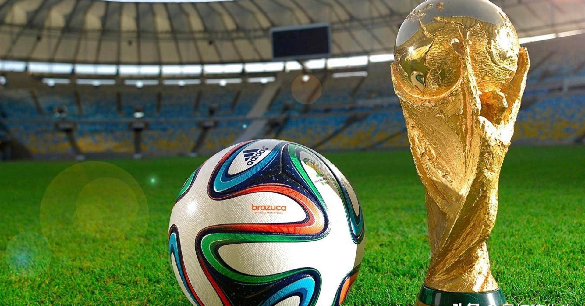 注意力与反 注意力与反